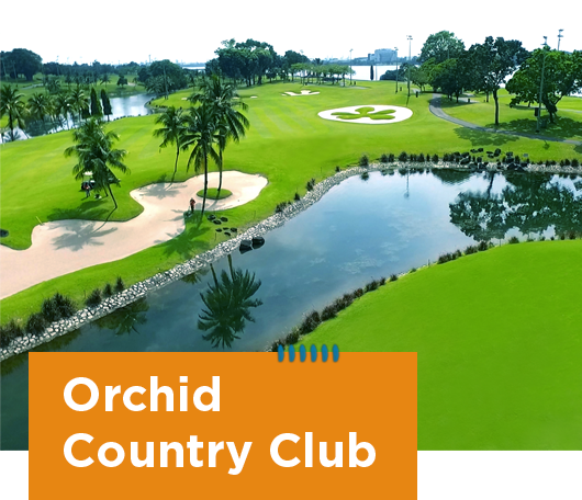 Ntuc Club Quadrennial Report Weaving A Stronger Relationship